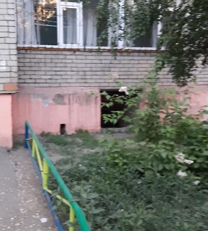 Cosy flat Daire Semey Dış mekan fotoğraf