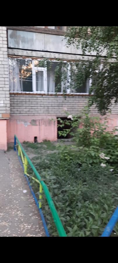 Cosy flat Daire Semey Dış mekan fotoğraf